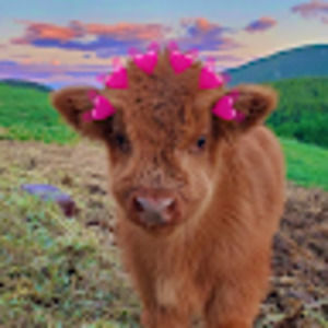 Meet your Posher, Sonja